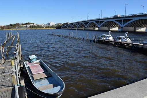 手賀沼 利根川水系 手賀沼,利根川水系,利根川水系の湖沼の写真素材