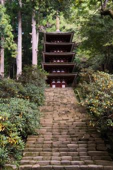 晩秋の室生寺　五重塔 紅葉,晩秋,風景の写真素材