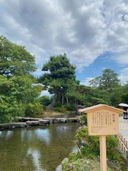 兼六園の雁行橋 兼六園の雁行橋 兼六園,雁行橋,亀の甲の形の写真素材