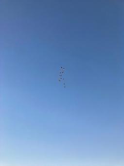 blue sky blue sky