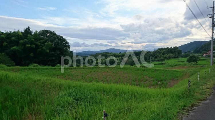 田園風景 風景,農業（商業企業）,自然の写真素材