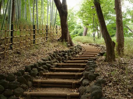 都市の公園 都市の公園 公園,都市,日常の写真素材