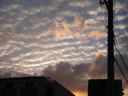 夕焼け 夕焼けの写真