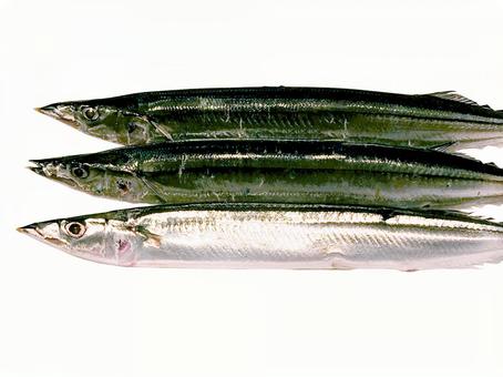 サンマ サンマ,秋刀魚,銀の写真素材