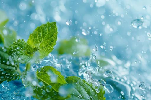 ミントウォータースプラッシュの写真