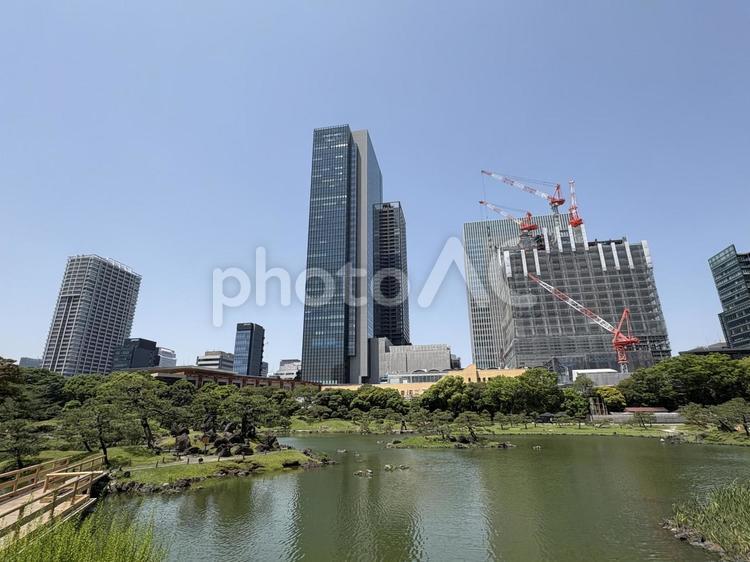 旧芝離宮恩賜庭園から浜松町のビル街 芝離宮,浜松町,ビル街の写真素材