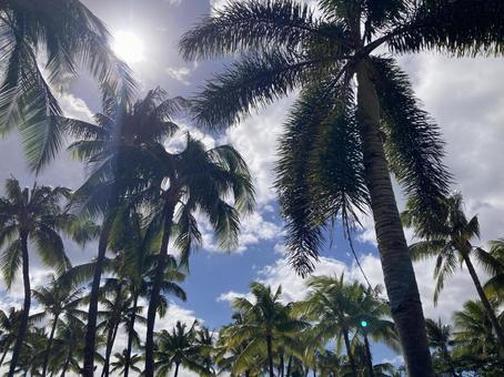ハワイの空Ｃ ハワイ,青空,雲の写真素材