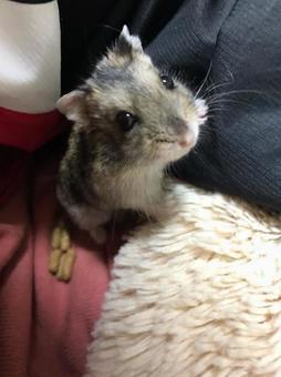 上目遣いの写真