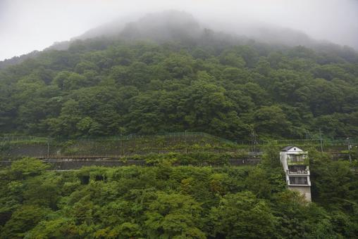 霧に包まれた深緑の山と家 霧,山,森林の写真素材