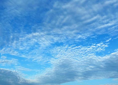 秋のうろこ雲 秋のうろこ雲の写真