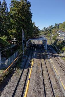 初鹿野諏訪神社の朴の木の写真