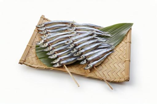 きびなご(バック飛ばし、影イキ) きびなご(バック飛ばし、影イキ)の写真