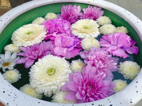 色鮮やかな花手水13 花手水,はなちょうず,手水舎の写真素材