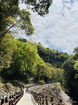 景色 景色の写真