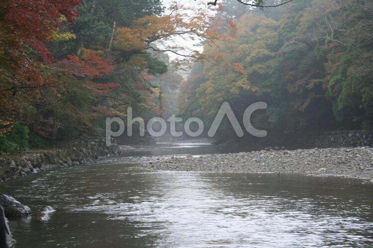 川の風景 川,風景の写真素材