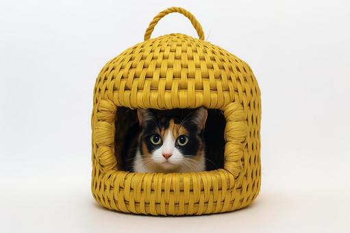 猫ちぐらイメージの写真