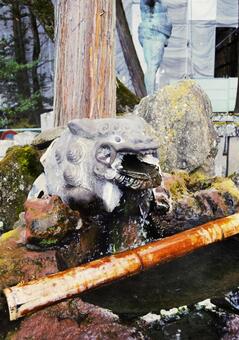 諏訪大社上社本宮　手水舎　長野県　2 諏訪大社,上社,本宮の写真素材