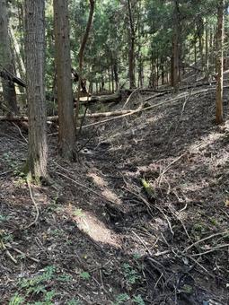 涸れた山の小川 涸れた山の小川 秋,茶色,風景の写真素材