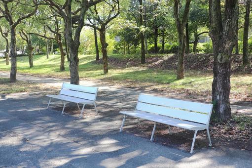 公園のベンチ 公園のベンチ 公園,広場,ベンチの写真素材