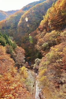 紅葉　松川渓谷 山,秋,風景の写真素材