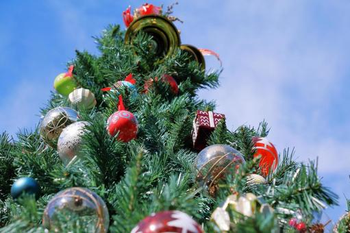 華やかなクリスマスツリー 華やかなクリスマスツリー クリスマスツリー,クリスマス,モミの木の写真素材