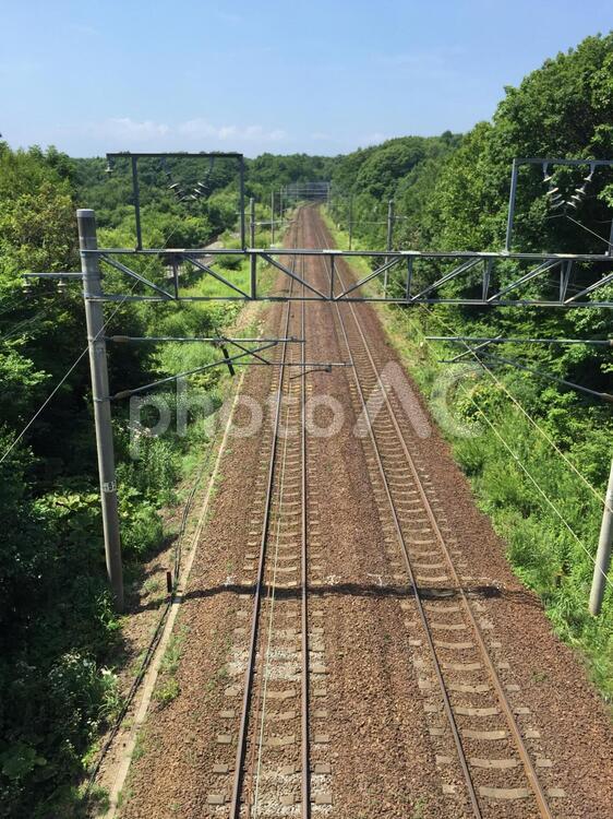線路　晴れ　田舎　自然 線路,晴れ,田舎の写真素材