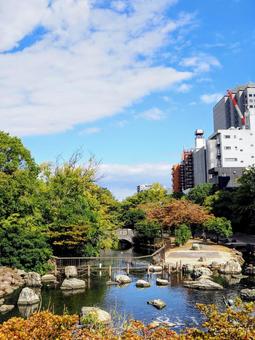 初秋の仙台堀川公園・日本風庭園(江東区) 初秋の仙台堀川公園・日本風庭園(江東区) 初秋,東京都,公園の写真素材