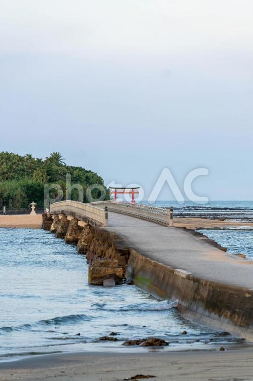 夕暮れ時の青島神社 夕暮れ,日没,青島神社の写真素材