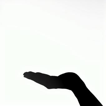 影絵 影絵の写真
