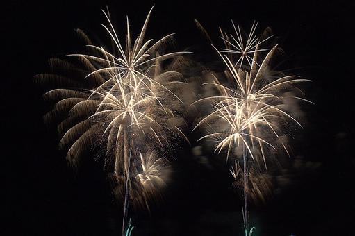 25年長岡まつり 花火 25年長岡まつり 花火の写真