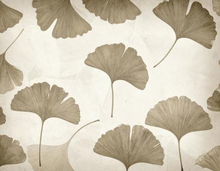 モノクロのイチョウの葉のシンプル背景の写真