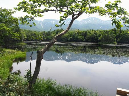Photo, shiretoko, lake, reflection, 