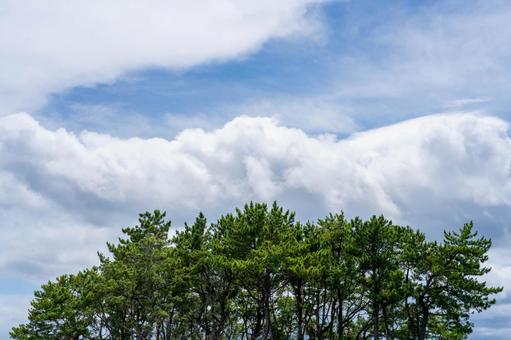 入道雲と青空と緑の森 入道雲と青空と緑の森の写真