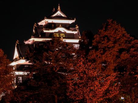 ライトアップされた岡山城天守閣 岡山城,ライトアップ,幻想庭園の写真素材
