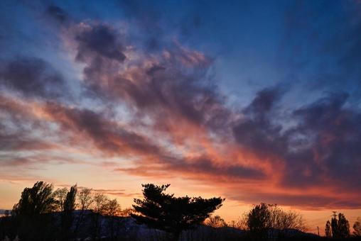 夕焼け 2025/11/16 夕焼け,夕暮れ,夕方の写真素材