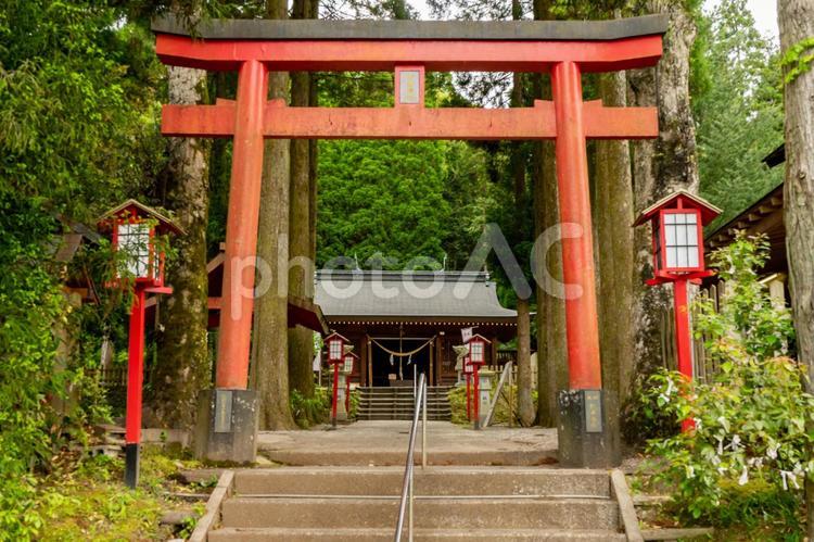 和気神社 和気神社,鹿児島,霧島市の写真素材