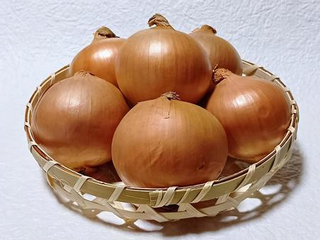 玉ねぎ 玉ねぎ,野菜,食材の写真素材