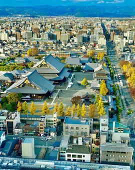 京都の町並み 京都の町並み 京都,市街地,風景の写真素材