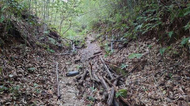 ハイキング道 ハイキング道の写真
