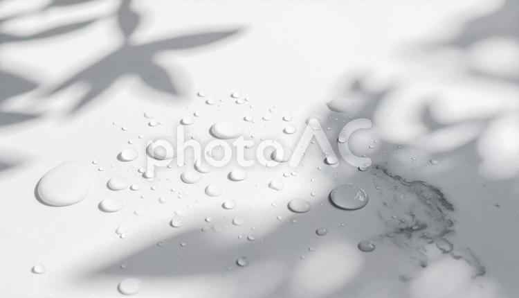 水滴のついた大理石に映る木の影 木陰,水,水滴の写真素材