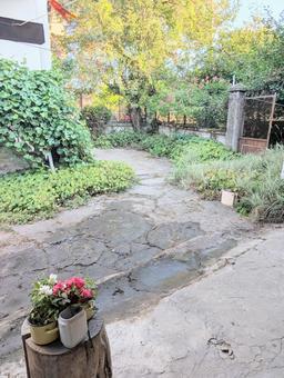 プラチコフツィの庭 プラチコフツィの庭 庭,葡萄,薔薇の写真素材
