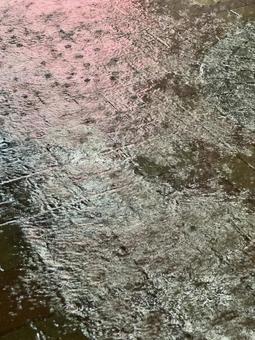 雨模様 雨模様の写真