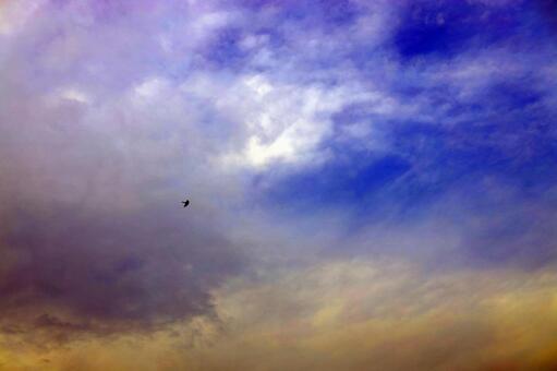 空 空の写真