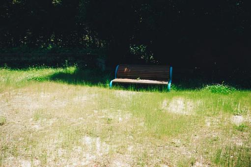 公園のベンチ 公園のベンチ 自然,草,風景の写真素材