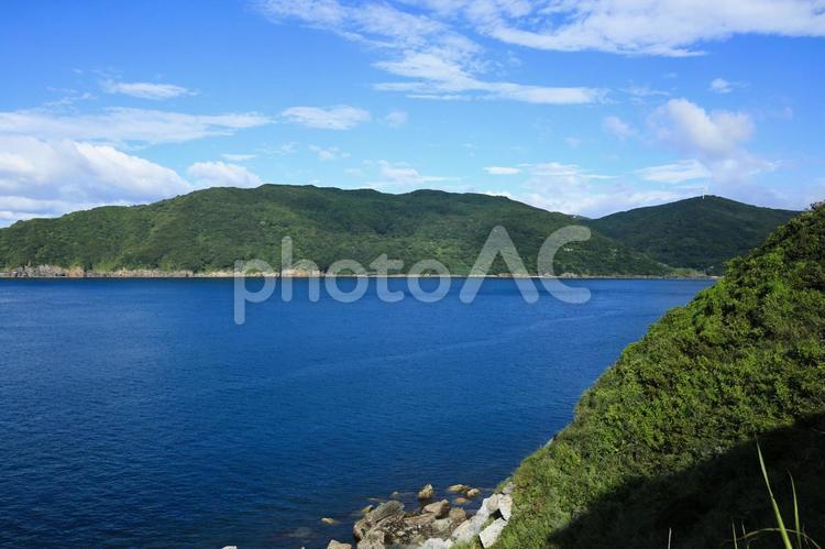 愛媛県伊方町　番匠鼻 番匠鼻,岬,半島の写真素材