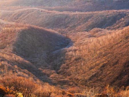 初冬の霧降高原 初冬の霧降高原の写真