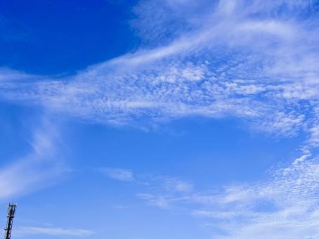 【空の写真】秋空 【空の写真】秋空 秋空,空,雲の写真素材