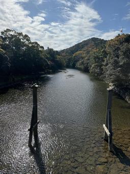五十鈴川の清流と木々の風景 五十鈴川,三重県,風景の写真素材