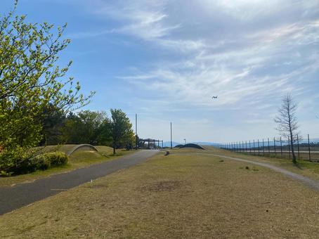 夏の空と草原 夏の空と草原 夏,春,5月の写真素材
