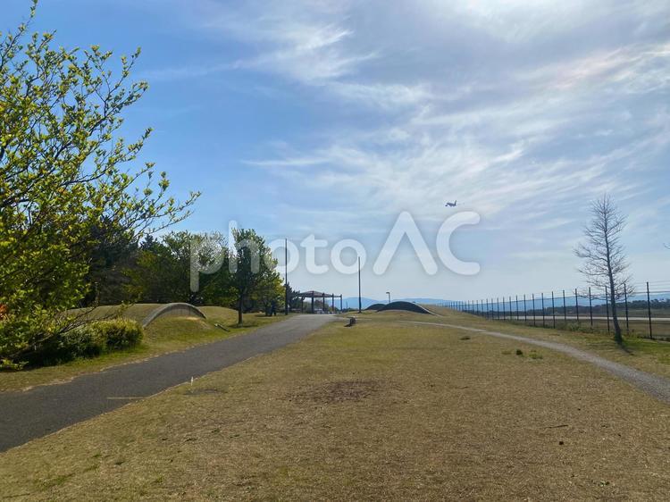 夏の空と草原 夏,春,5月の写真素材